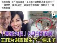 上海罡以信息咨询有限公司