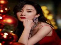 上海罡以信息咨询有限公司