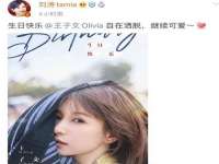 上海罡以信息咨询有限公司