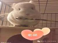 上海罡以信息咨询有限公司