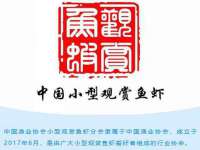 上海罡以信息咨询有限公司