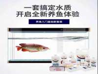 上海罡以信息咨询有限公司