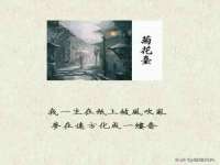 上海罡以信息咨询有限公司