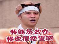 上海罡以信息咨询有限公司