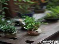 上海罡以信息咨询有限公司