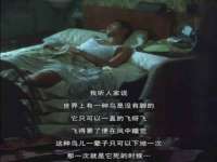 上海罡以信息咨询有限公司