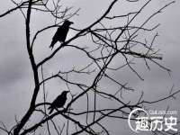 上海罡以信息咨询有限公司