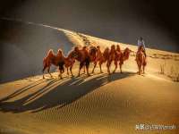 上海罡以信息咨询有限公司