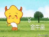 上海罡以信息咨询有限公司