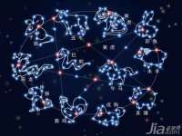 上海罡以信息咨询有限公司
