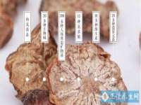 上海罡以信息咨询有限公司