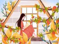 上海罡以信息咨询有限公司