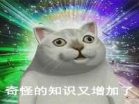 上海罡以信息咨询有限公司