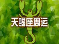 上海罡以信息咨询有限公司
