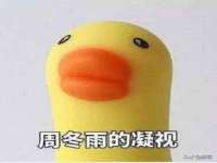上海罡以信息咨询有限公司