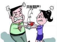 上海罡以信息咨询有限公司