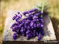 上海罡以信息咨询有限公司