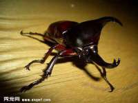 上海罡以信息咨询有限公司