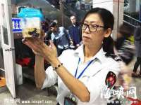 上海罡以信息咨询有限公司