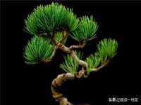 上海罡以信息咨询有限公司