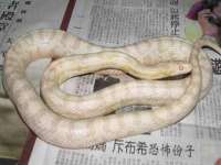上海罡以信息咨询有限公司