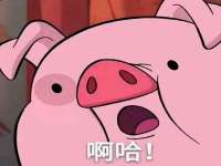 上海罡以信息咨询有限公司
