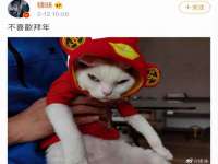 上海罡以信息咨询有限公司
