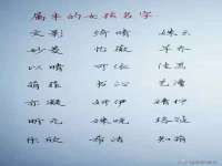 上海罡以信息咨询有限公司
