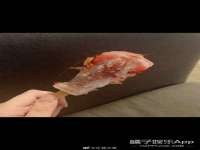 上海罡以信息咨询有限公司